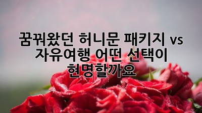 꿈꿔왔던 허니문, 패키지 vs 자유여행? 어떤 선택이 현명할까요?