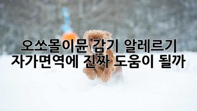 오쏘몰이뮨, 감기🤧 알레르기, 자가면역🛡️에 진짜 도움이 될까? 🤔